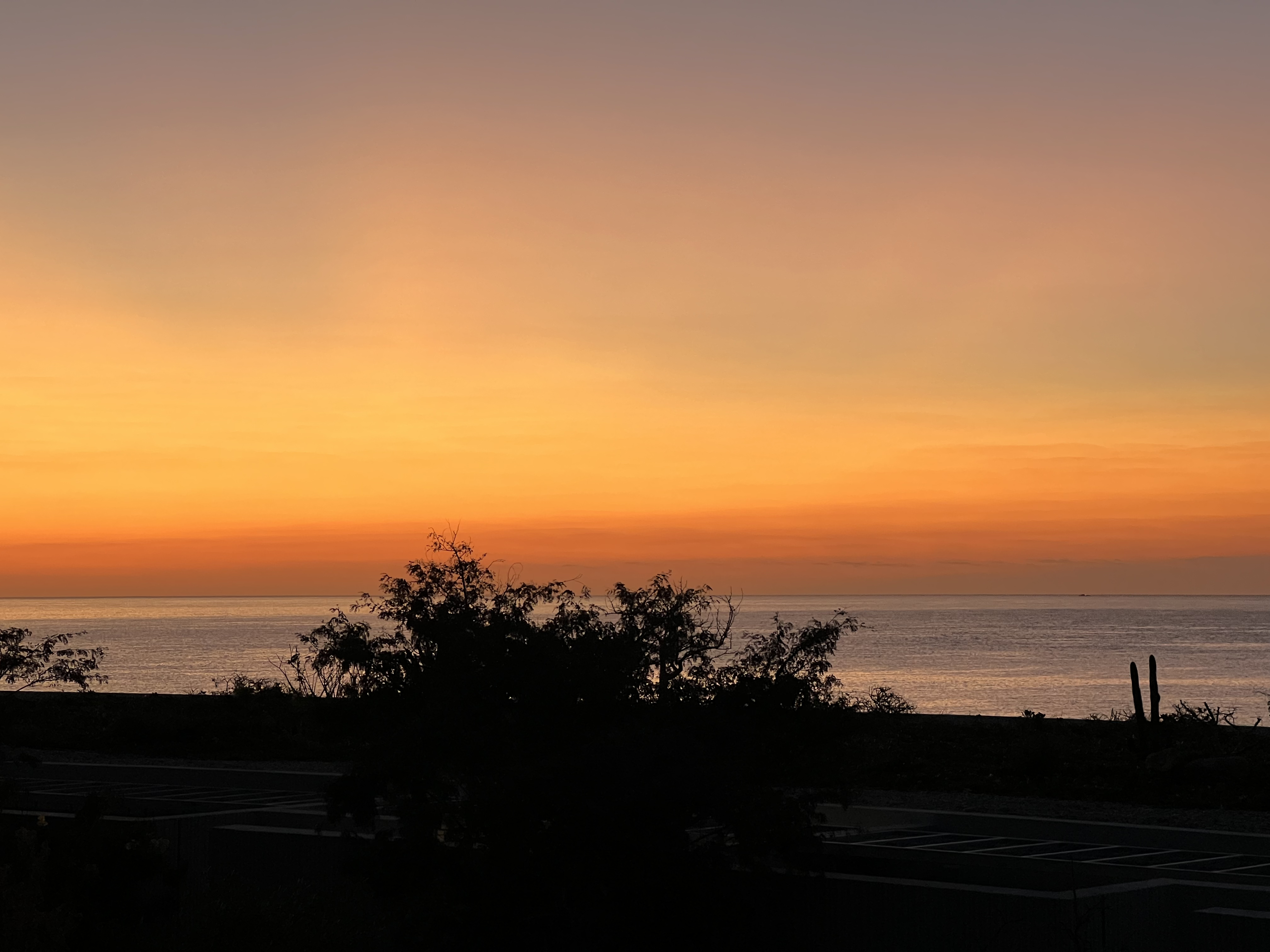 ./2024/13 - Cabo/IMG_4915.jpg